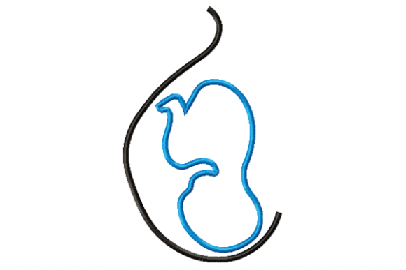 Reviewing Pregnancy Applique for Baby Embroidery